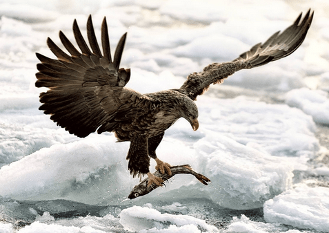 有目標(biāo),才能創(chuàng)造一個可觀的成就 有目標(biāo),才能創(chuàng)造一個可觀的成就